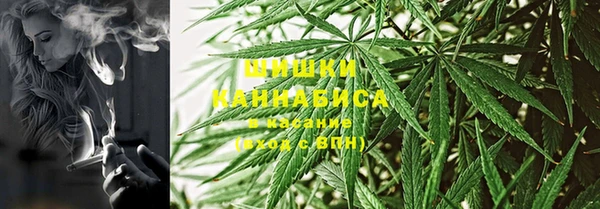 сатива Балабаново