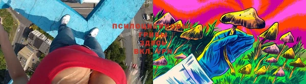 сатива Балабаново