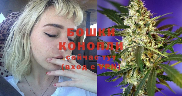 сатива Балабаново