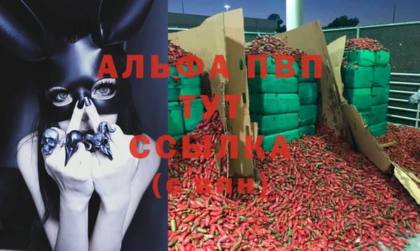 сатива Балабаново